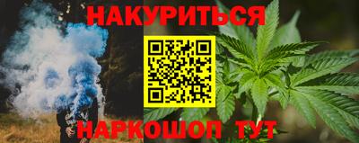 сатива Кингисепп