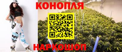 сатива Комсомольск-на-Амуре