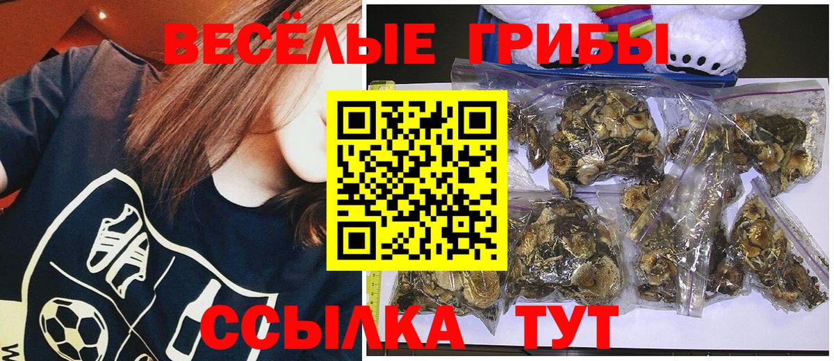 Псилоцибиновые грибы Magic Shrooms Заволжье