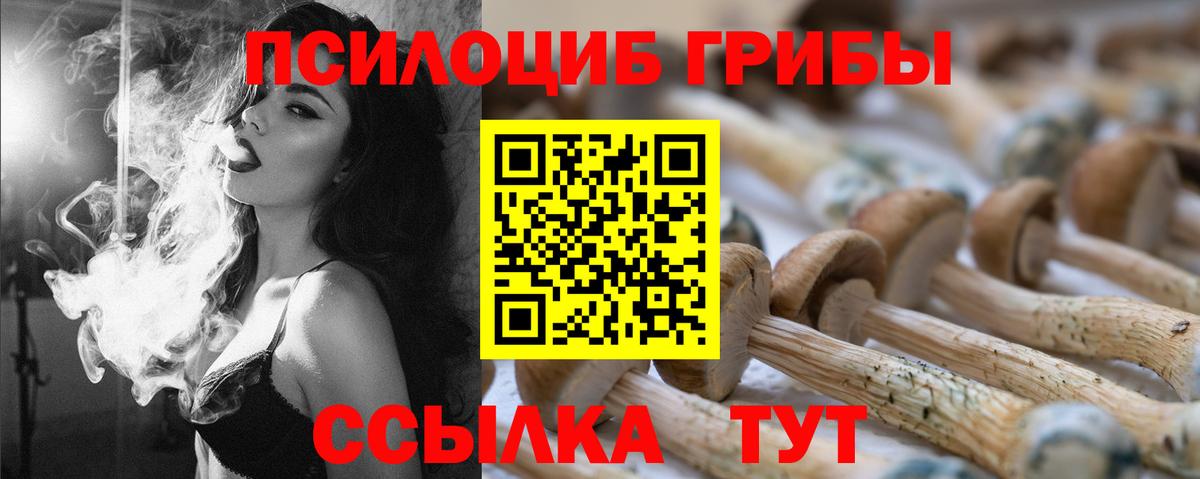 Заволжье  Псилоцибиновые грибы мухоморы  Вход с VPN 